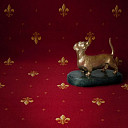 Ковролин Haima Axminster (7x9) Лилия Бордо  | FLOORDEALER